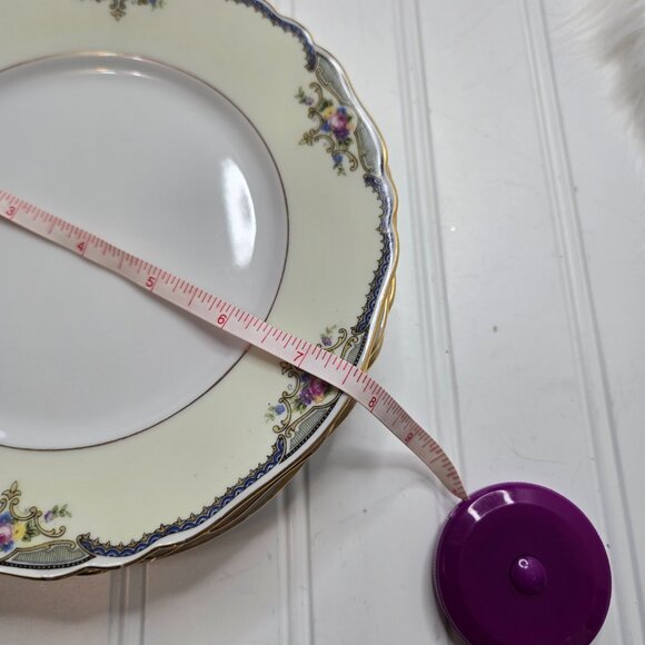 VTG (4) Paul Muller Selb "The Minto" #1328 Bavaria Germany 7-5/8" Salad Plates F - Picture 6 of 6